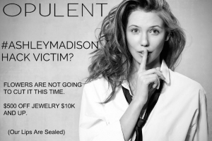 ashley_madison_jewelry_with_logo.jpg