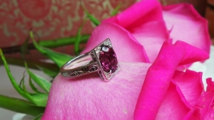 raspberryspinel8.jpg raspberryspinel8.jpg