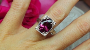 raspberryspinel7.jpg raspberryspinel7.jpg