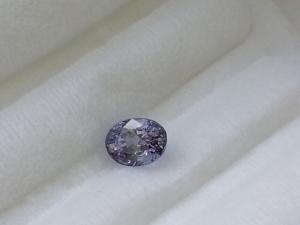 lavender_sapphire_on_window_sill.jpg lavender_sapphire_on_window_sill.jpg