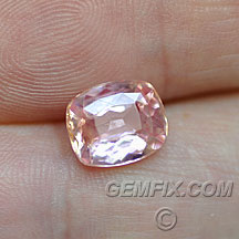 sapphire_pink_452_A.jpg