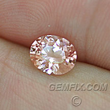 sapphire_pink_500_A.jpg