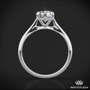 wf-legato-sleek-line-solitaire-engagement-ring-in-white-gold_gi_1093_2.jpg
