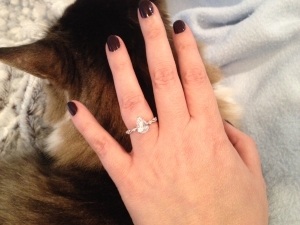 ringcat.jpg