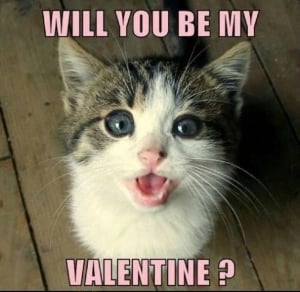 will-you-be-my-valentine.jpg