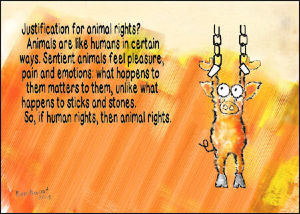 animalrights.jpg
