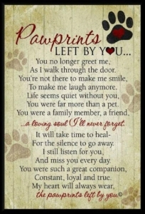 pawprints-quote_0.jpg