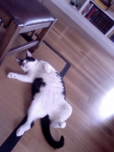 fredrelaxing_0.jpg