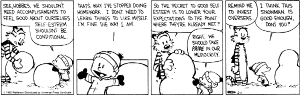 calvin-expectations.jpg