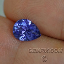 pear_gemfix.jpg pear_gemfix.jpg