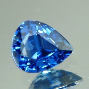 wild_fish_gems_pear_1.jpg wild_fish_gems_pear_1.jpg
