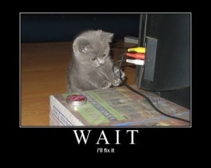 lolcatsdotcom5x02srq751692std.jpg