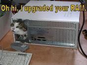 upgraderamp1.JPG