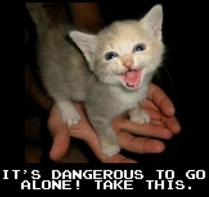 dangeroustogoalone.jpg