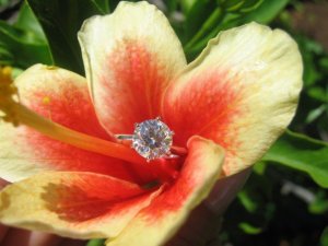 small flower.jpg