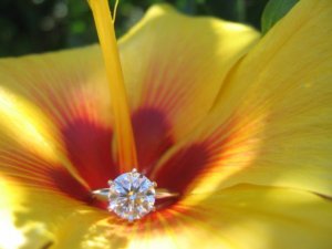 big flower.jpg