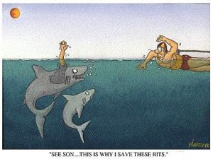 sharkarm.jpg