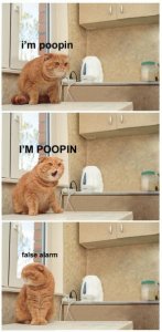 im_poopin.jpg