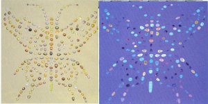 ButterFlyFluorComposite.jpg