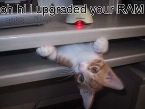 RAMupgrade.jpg