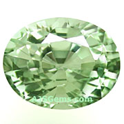 CHV-00034-l.jpg