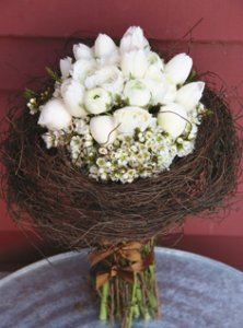 birdnestflowers.jpg birdnestflowers.jpg