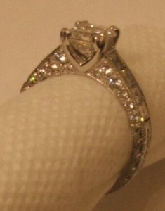 dual side view 1.jpg