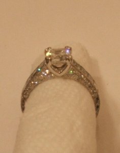 side shank view 1.jpg