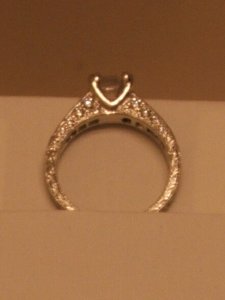 side shank view 2.jpg