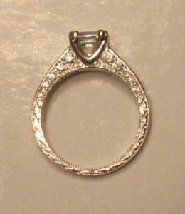 side shank view 3.jpg