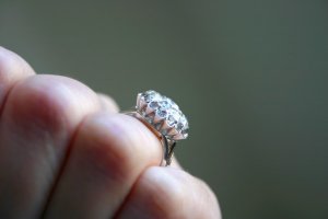 IMG_4421.jpg