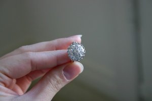 IMG_4424.jpg