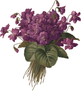 violets_bunch.gif