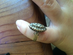 ring1_19.jpg ring1_19.jpg