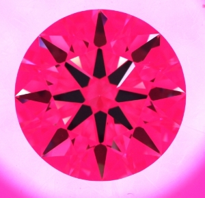 8151818__4_.jpg 8151818__4_.jpg
