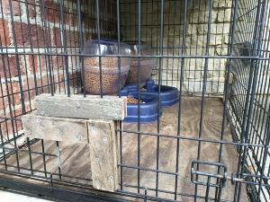 feedingstationsecondopening.jpg
