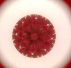 ab18392811_-_idealscope.jpg