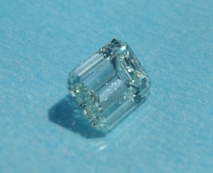dsc03334.jpg