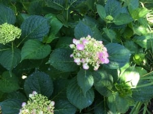 thumb_img_2324_1024.jpg