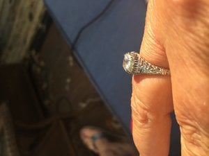 IMG_2992.JPG