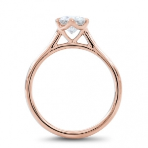 side_view_ring.jpg side_view_ring.jpg