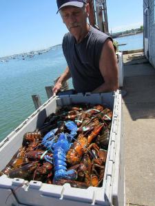 article-lobster-0811.jpg article-lobster-0811.jpg