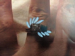 unnamed_65.jpg