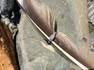 image_1078.jpg