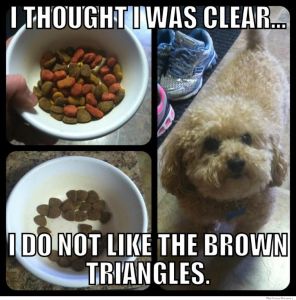 i-thought-i-was-clear-i-dont-like-the-brown-triangles.jpg