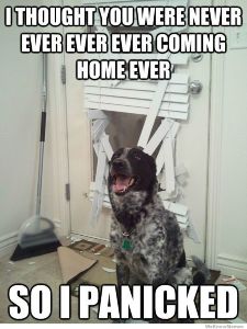 i-thought-you-were-never-coming-home-again.jpg