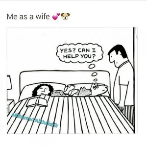 catsmonopolizingbed.jpg