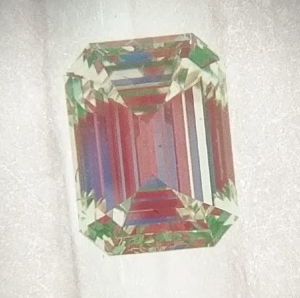 imag2236.jpg