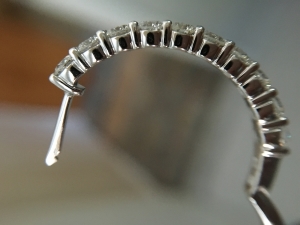 image_1155.jpg