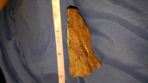 20161023_023433.jpg